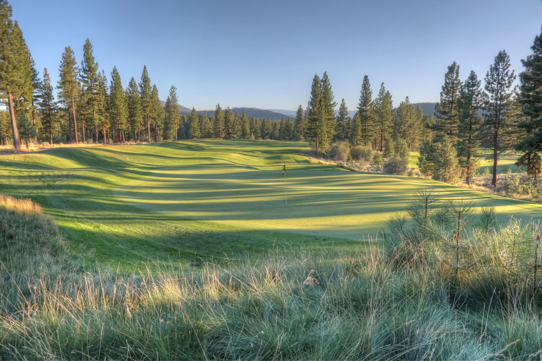 Grizzly Ranch Golf Club — golden hour fairway lined with pines