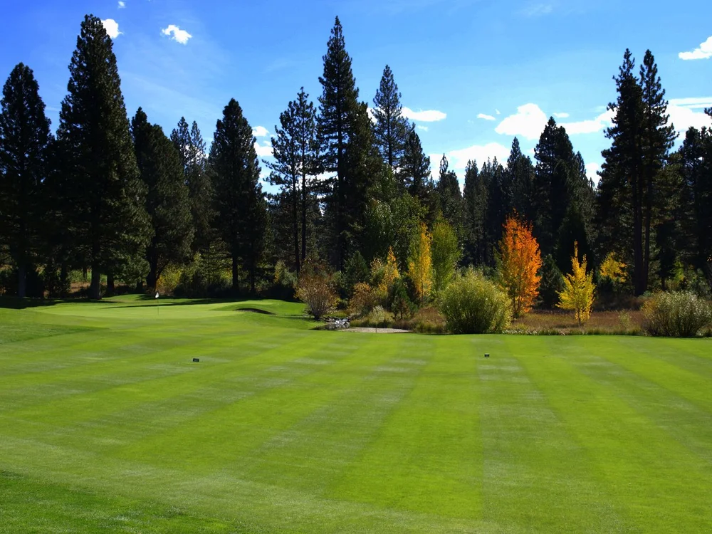 Whitehawk Ranch Golf Club — green view