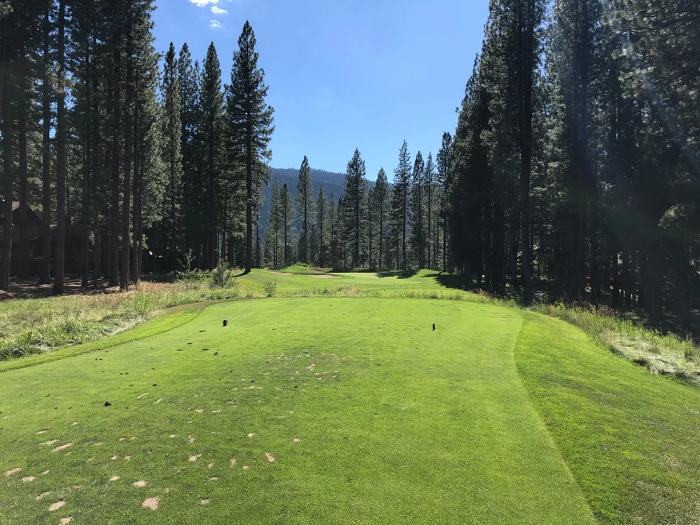 Whitehawk Ranch Golf Club — par-3 wooded setting